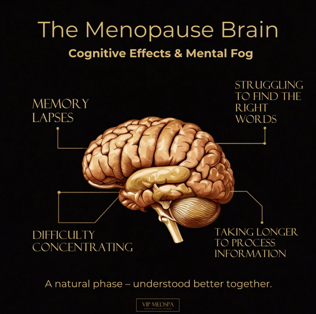 The Menopause Brain